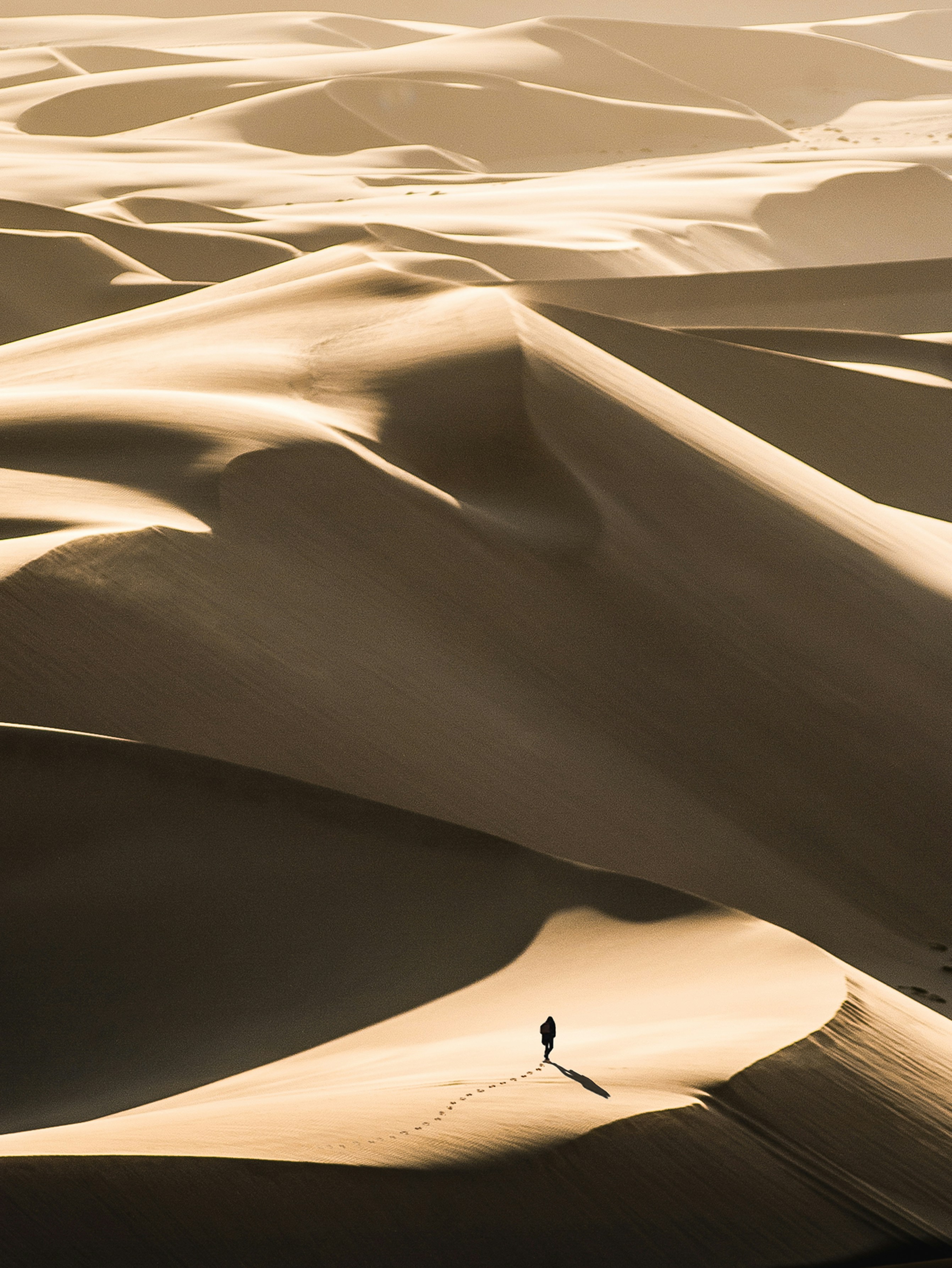 Travel agency's knowledgeable travel advisors