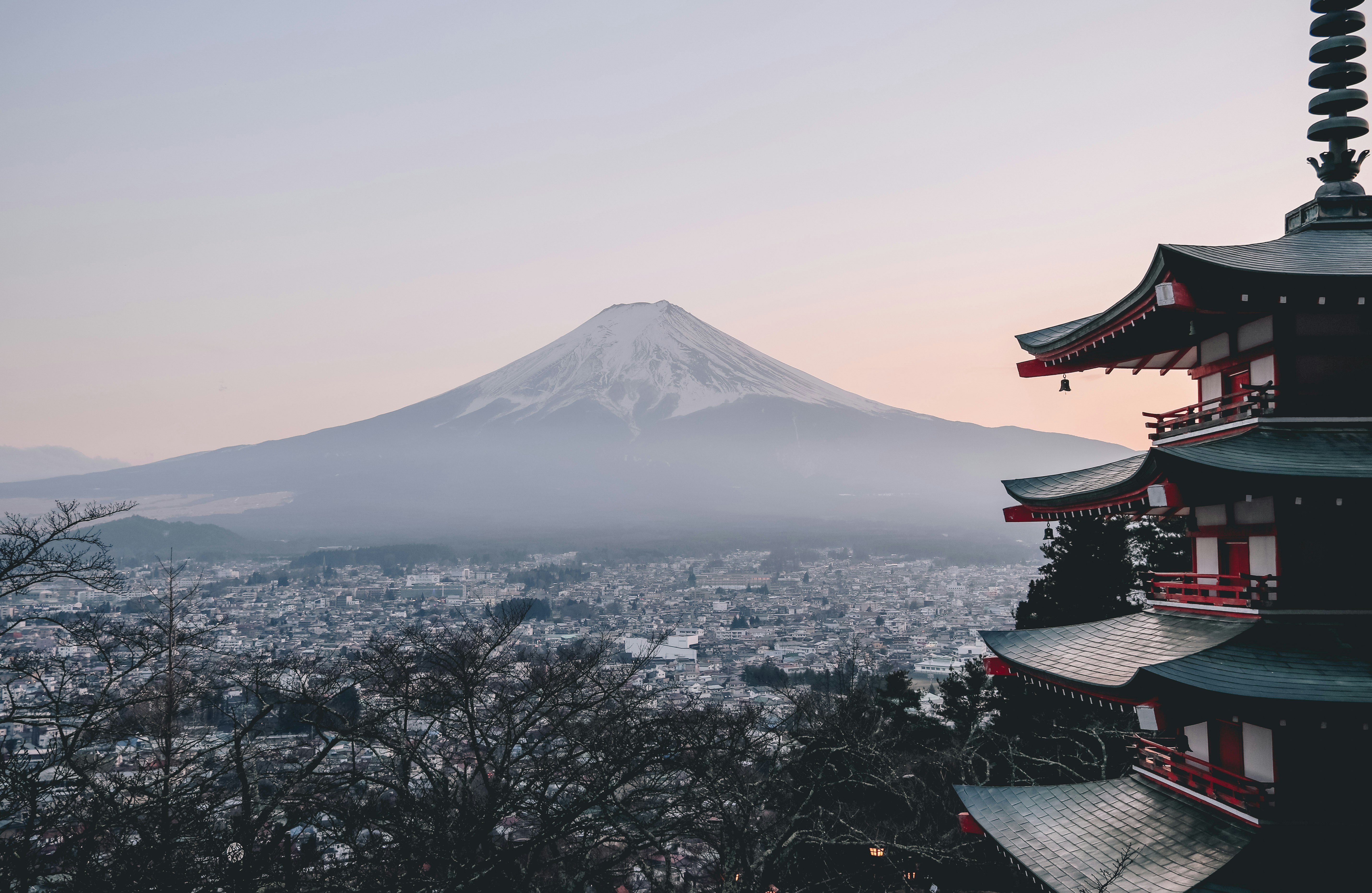 Top-Rated Travel Agency Features