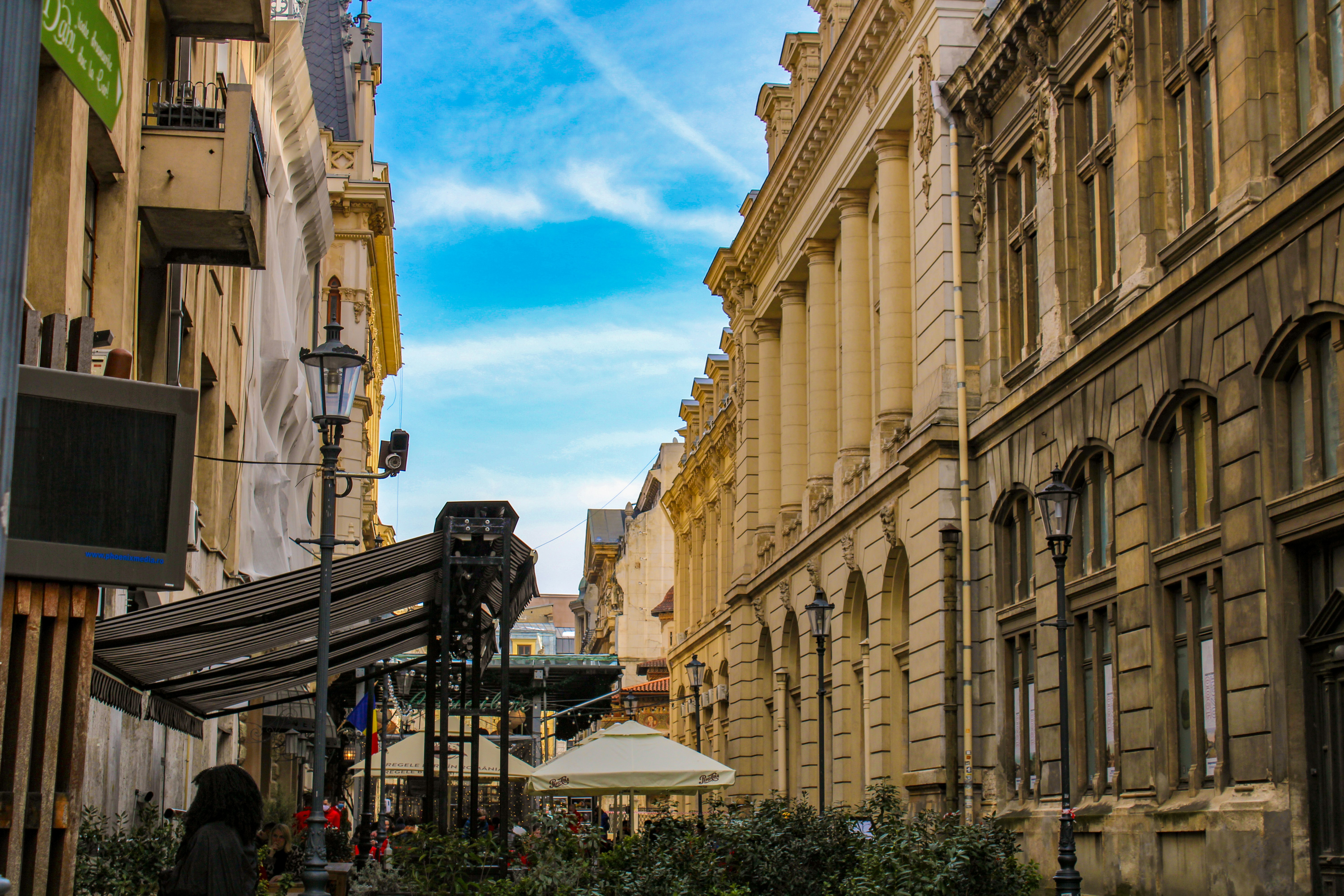 Professionals Traveling within the Country