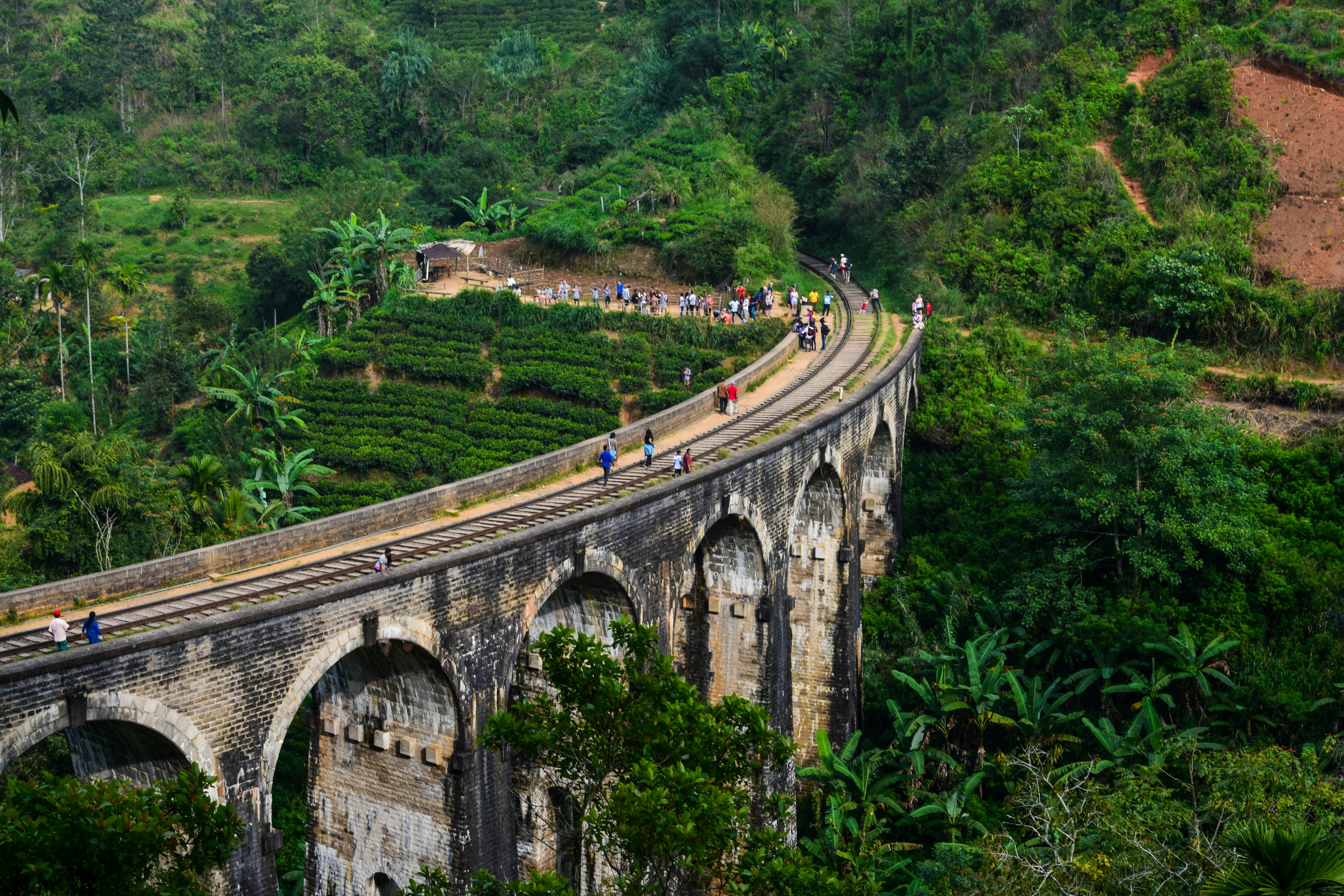Top Travel Agency