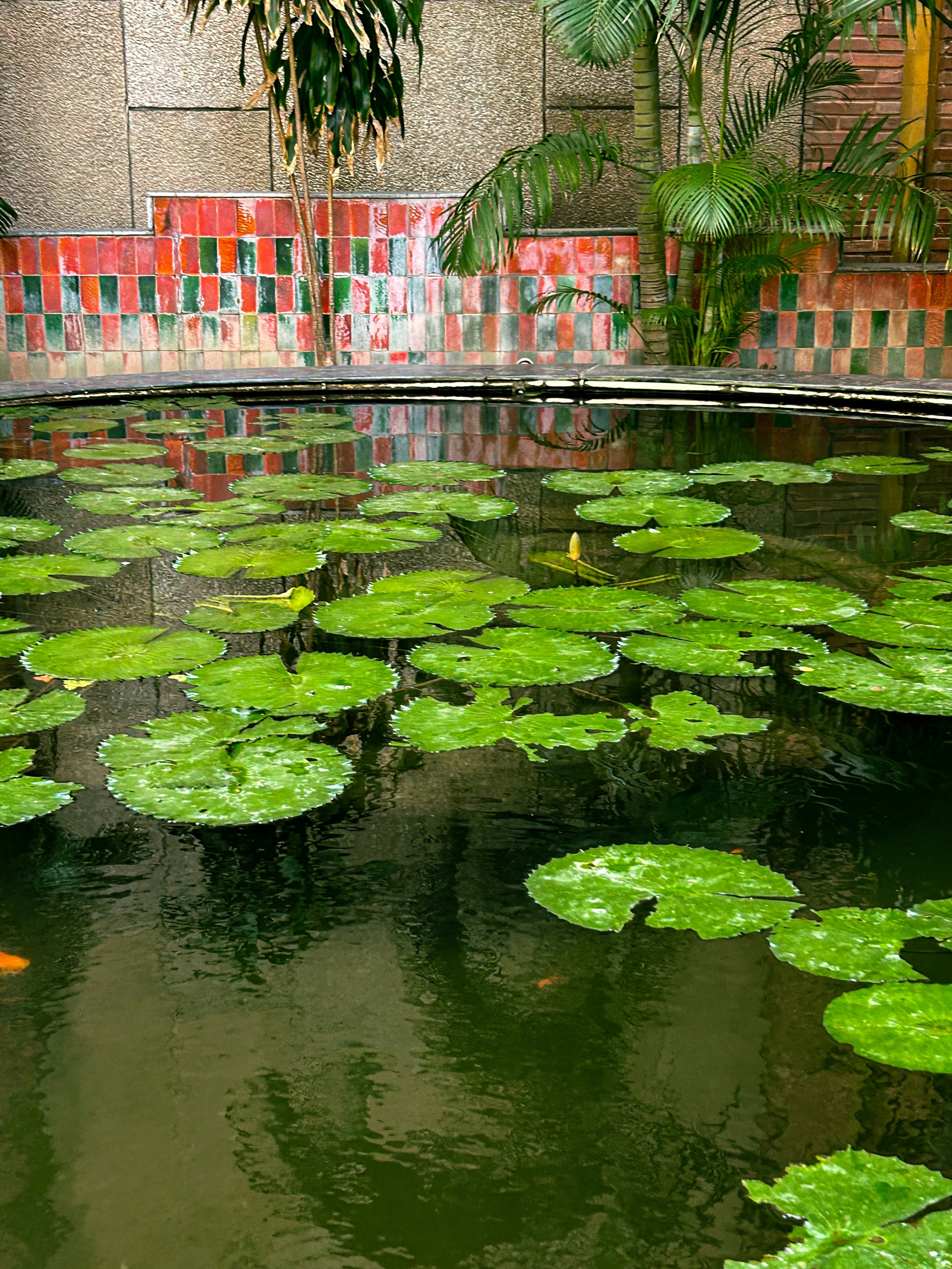 Features That Professional Travelers Look For